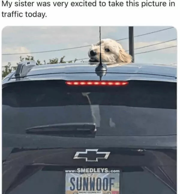 A minute of wholesomeness - #25 