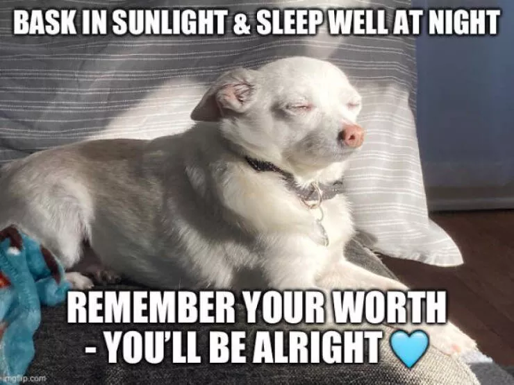 A minute of wholesomeness - #7 