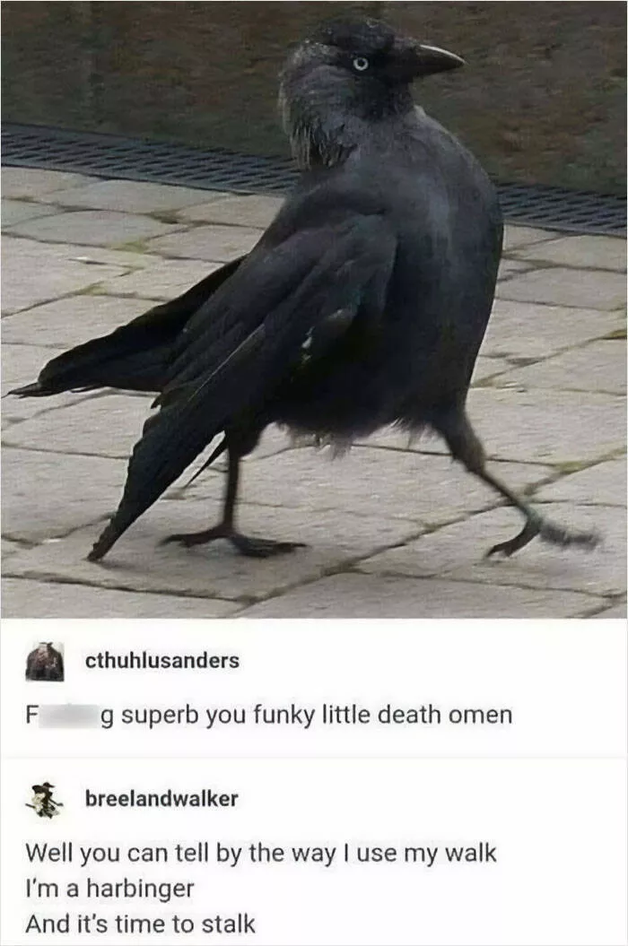 Hilarious tumblr posts that never get old - #14 