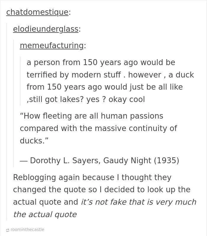 Hilarious tumblr posts that never get old - #22 