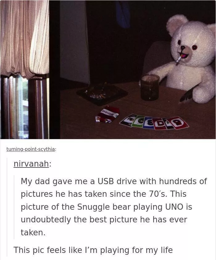 Hilarious tumblr posts that never get old - #38 