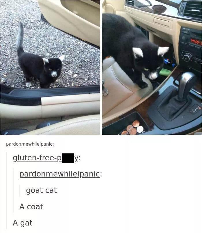 Hilarious tumblr posts that never get old - #44 