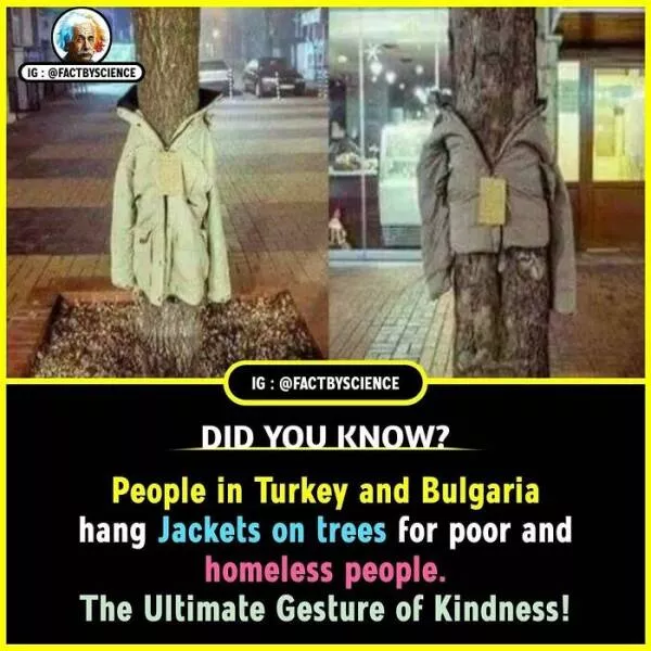 Mindblowing facts youll want to share - #1 