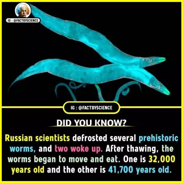 Mindblowing facts youll want to share - #13 