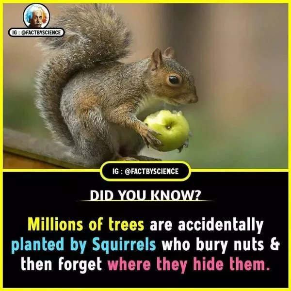 Faits incroyables que vous voulez absolument partager - #14 