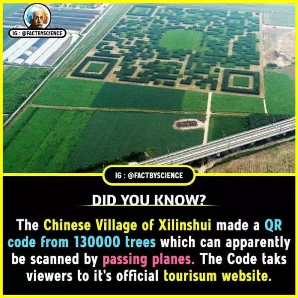 Mindblowing facts youll want to share - #15 