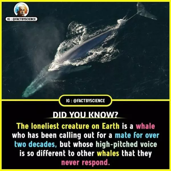 Mindblowing facts youll want to share - #17 