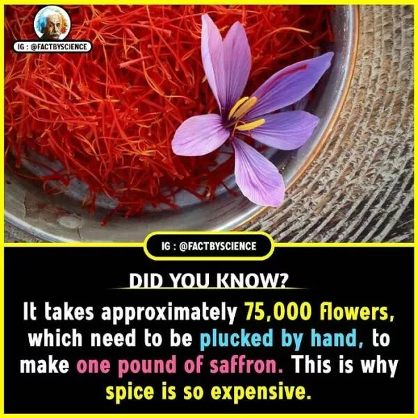 Mindblowing facts youll want to share - #18 