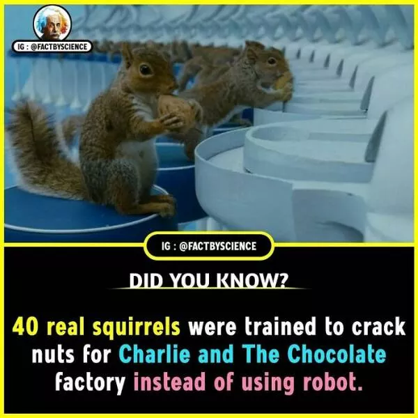 Mindblowing facts youll want to share - #19 