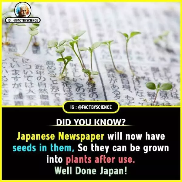 Mindblowing facts youll want to share