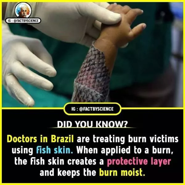 Mindblowing facts youll want to share - #20 