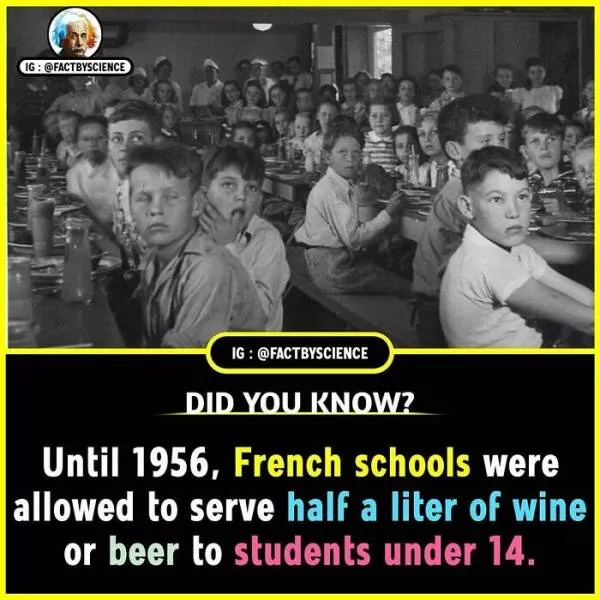 Faits incroyables que vous voulez absolument partager - #24 