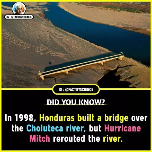 Mindblowing facts youll want to share - #25 