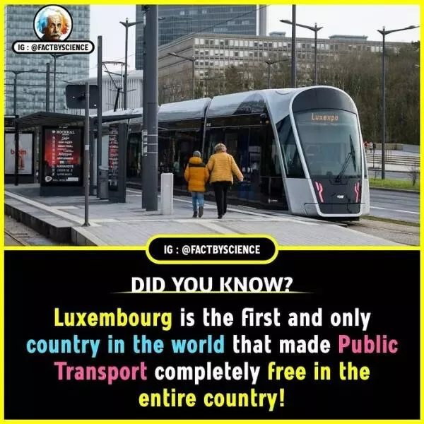 Mindblowing facts youll want to share - #3 