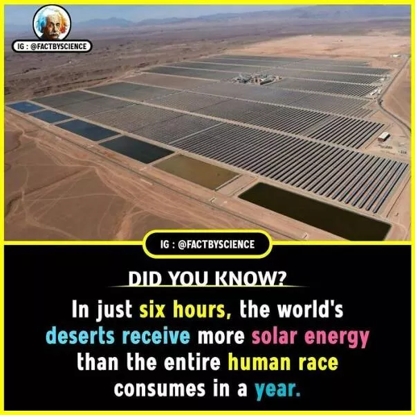 Mindblowing facts youll want to share - #31 