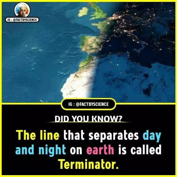 Mindblowing facts youll want to share - #32 