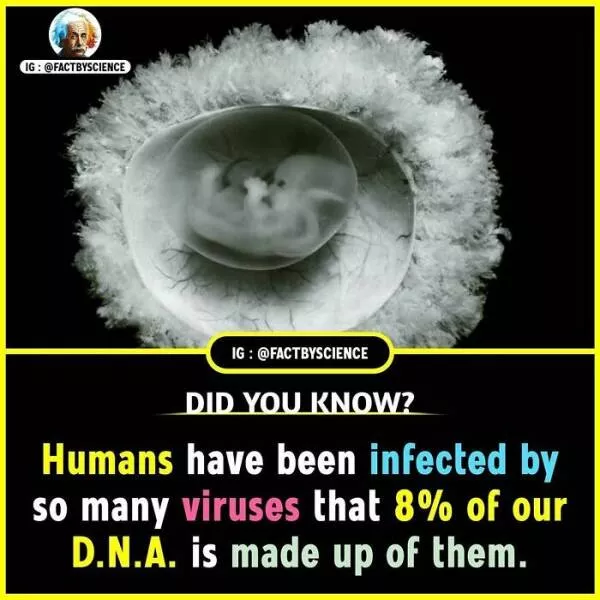 Mindblowing facts youll want to share - #34 