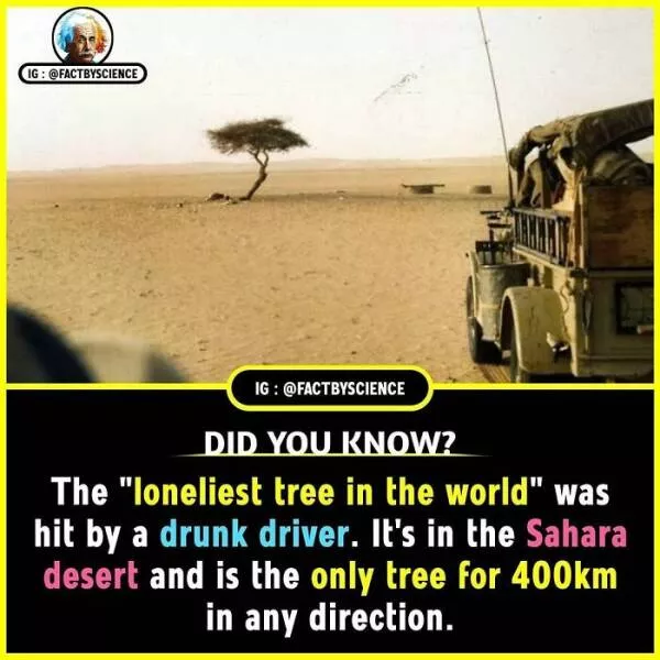 Mindblowing facts youll want to share - #36 