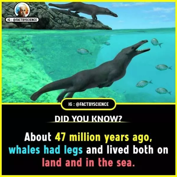 Mindblowing facts youll want to share - #40 