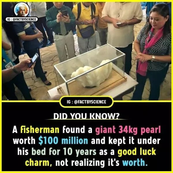 Mindblowing facts youll want to share