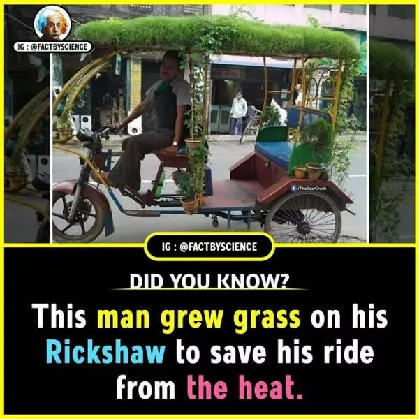 Mindblowing facts youll want to share - #6 