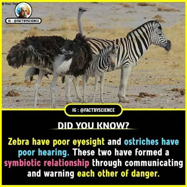 Mindblowing facts youll want to share - #7 
