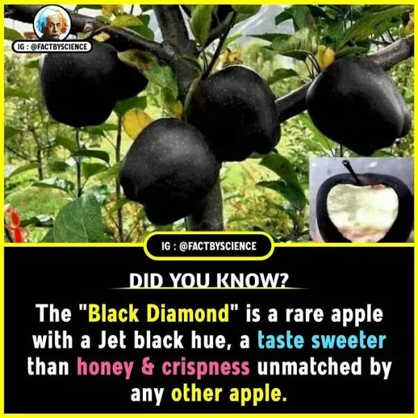 Mindblowing facts youll want to share - #8 