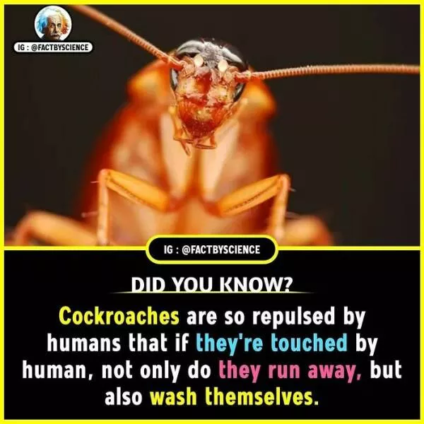 Mindblowing facts youll want to share - #9 