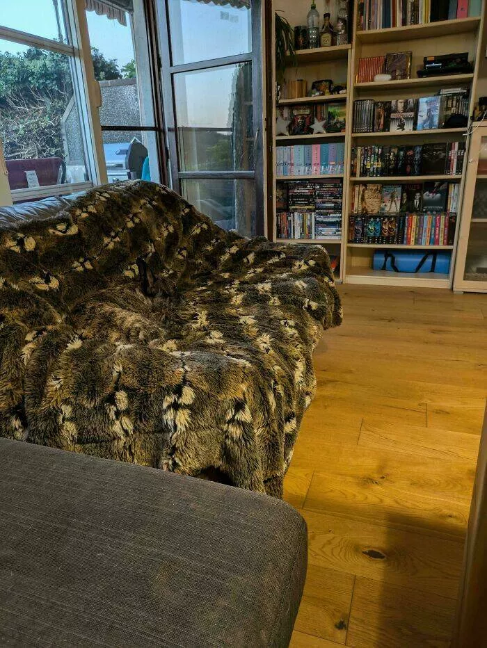 Spot the hidden objects - #11 Where is my dog?