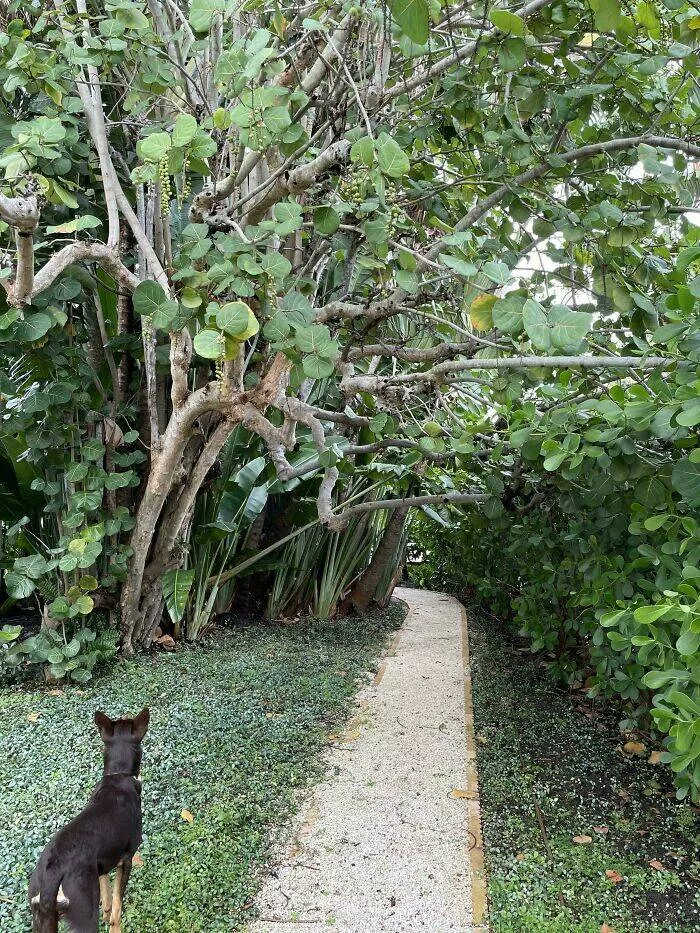 Spot the hidden objects
