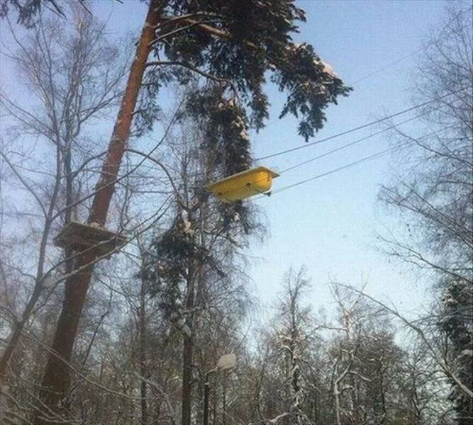 Picdump 960 - #30 Picdump 960 - #30