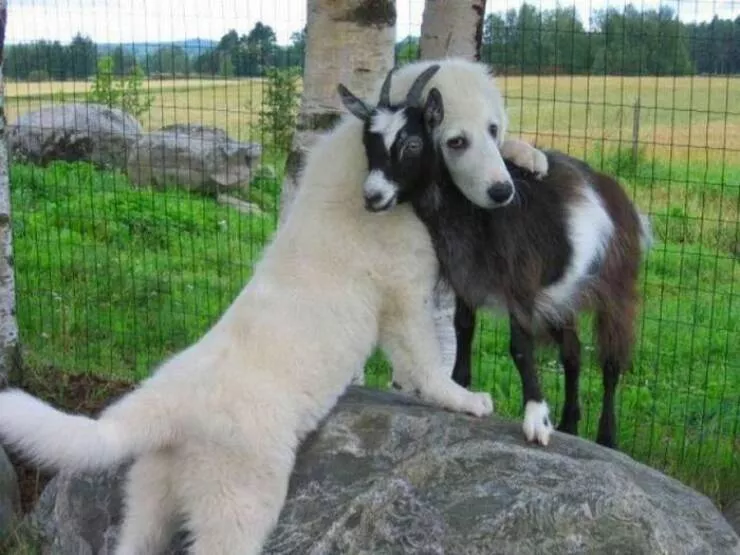 Picdump 963 - #28 