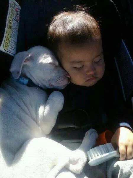 Picdump 963 - #44 