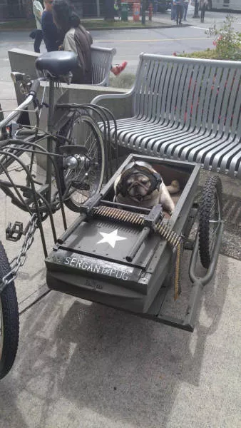 Picdump 119 - #13 