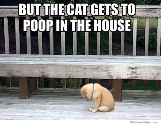 Picdump 119 - #23 