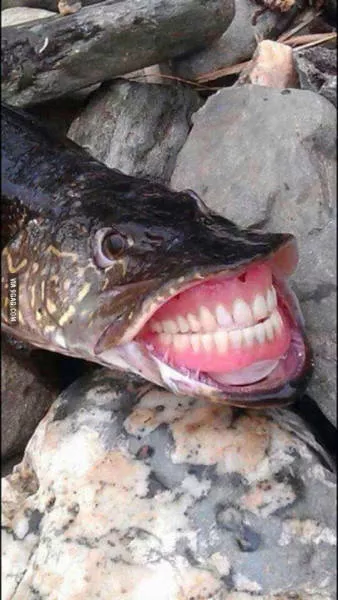 Picdump 119 - #3 