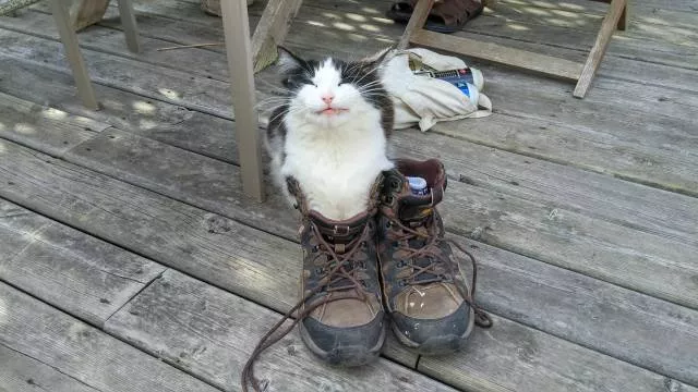 Picdump 119 - #48 
