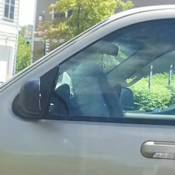 Picdump 119 - #56 