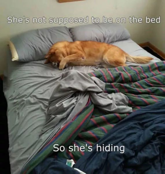 Picdump 119 - #9 