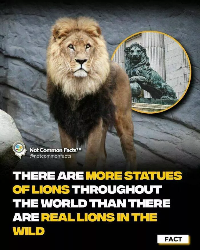 Endlessly fascinating facts - #14 