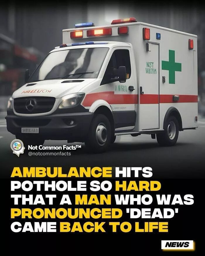 Endlessly fascinating facts - #17 
