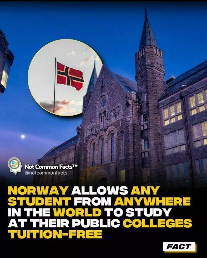 Endlessly fascinating facts - #19 