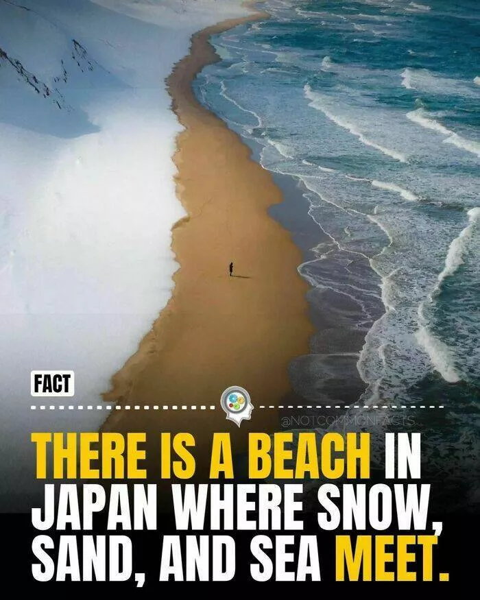 Endlessly fascinating facts - #25 