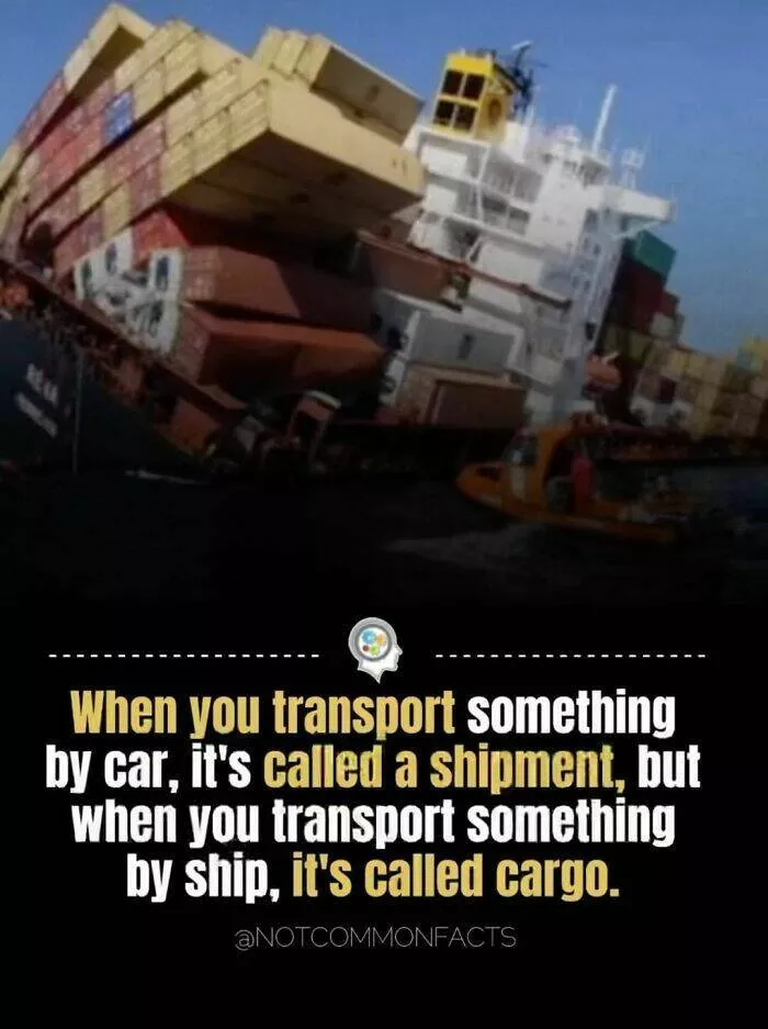 Endlessly fascinating facts - #41 