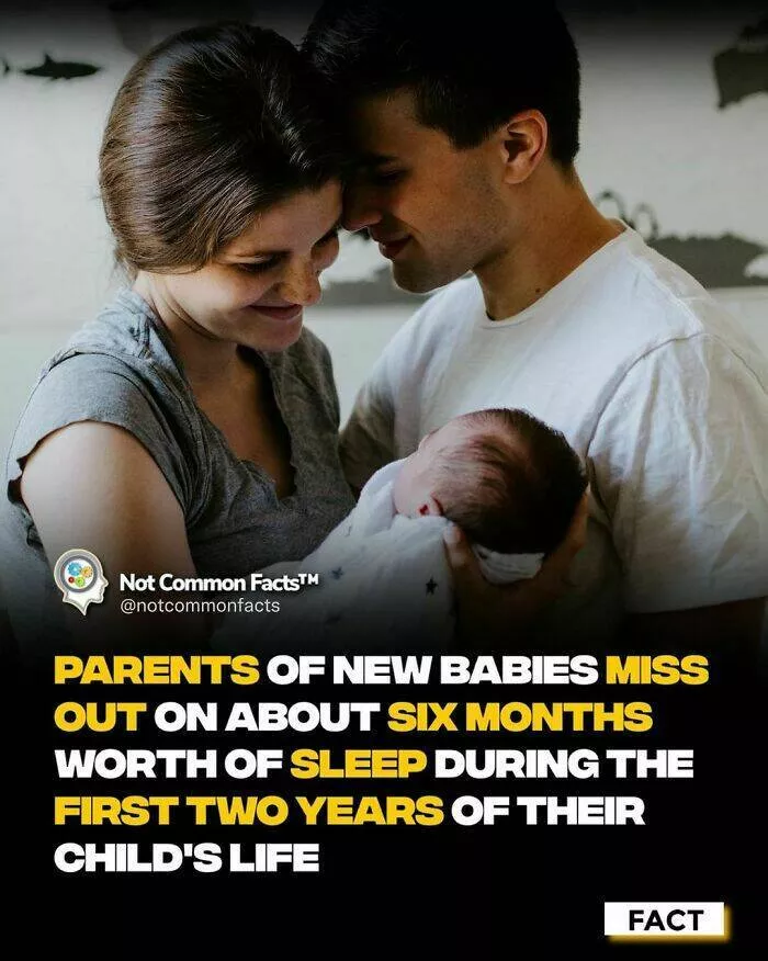 Endlessly fascinating facts - #42 