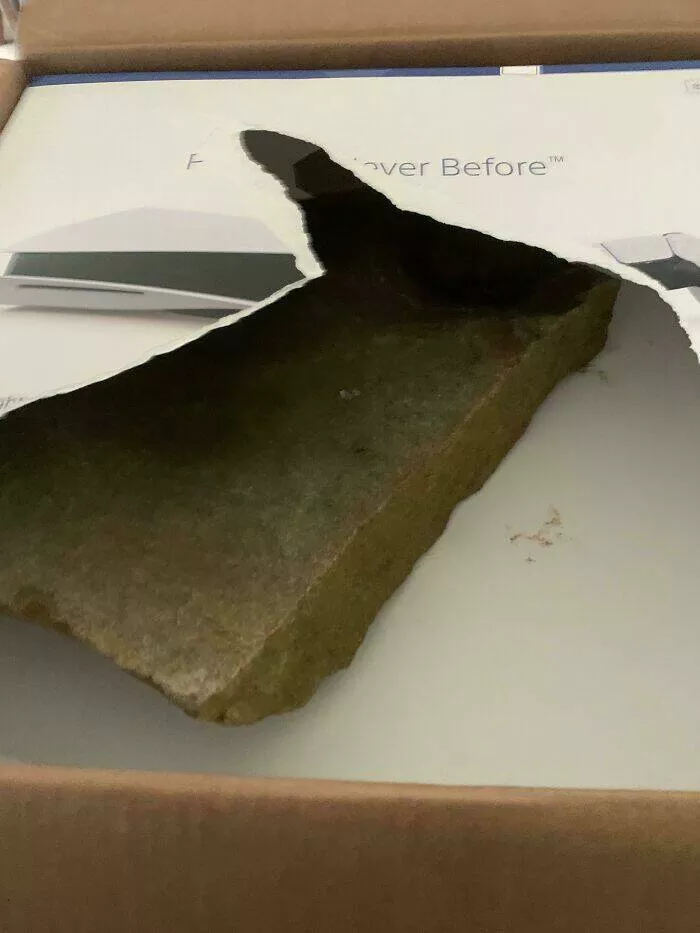 Expectation vs reality the funniest online shopping disasters - #19 Bought a PS5 for my son’s birthday. Someone at UPS swapped it out with a rock