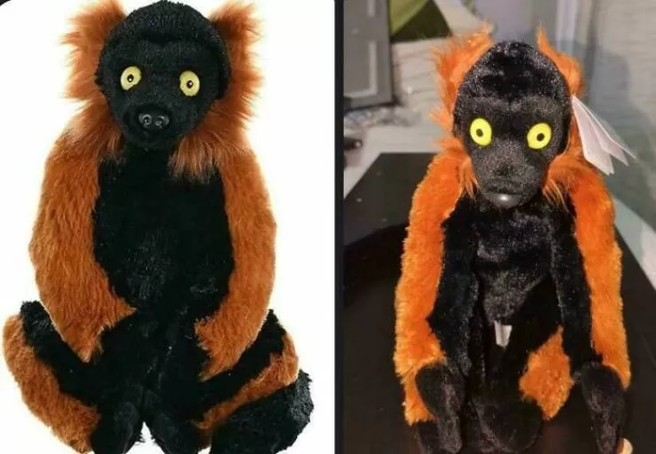 Les attentes contre la realite les pires desastres de shopping en ligne - #31 J'ai commandé un lemur sur Amazon, et j'ai reçu ce petit gars. Je vais l'aider à traverser ce qu'il traverse. Je l’aime quand même Les attentes contre la realite les pires desastres de shopping en ligne - #31 J'ai commandé un lemur sur Amazon, et j'ai reçu ce petit gars. Je vais l'aider à traverser ce qu'il traverse. Je l’aime quand même