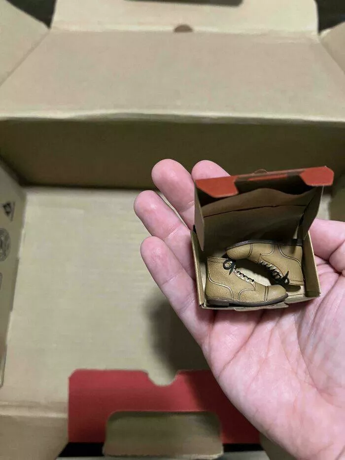 Expectation vs reality the funniest online shopping disasters