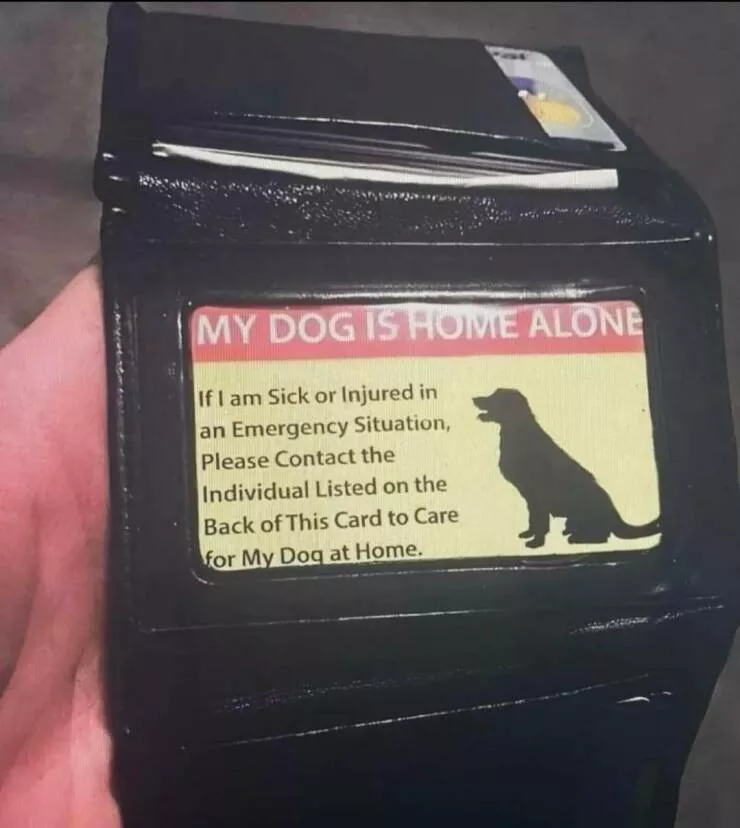Picdump 964 - #13 