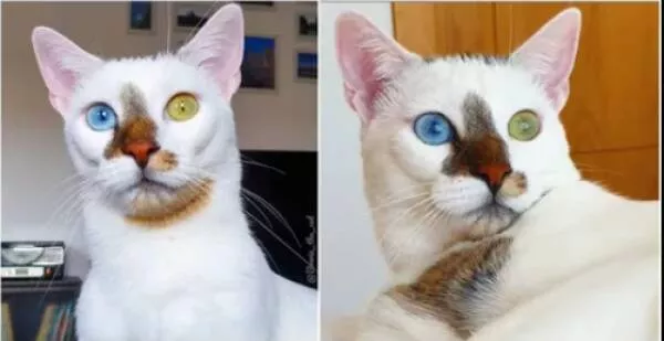 Picdump 964